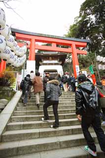 fotografia, materiale, libero il panorama, dipinga, fotografia di scorta,Lato di Sacrario di Eshima il torii di Tsunomiya, torii, Sacrario scintoista, , Ozunu Enno