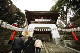 photo, la matière, libre, aménage, décrivez, photo de la réserve,Temple Eshima Tsunomiya latéral, temple inférieur, Temple shintoïste, , Ozunu Enno