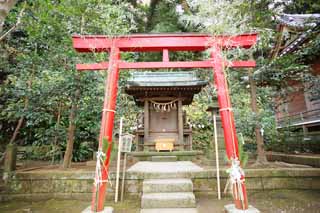 Ôîòî, ìàòåðèàëüíûé, ñâîáîäíûé, ïåéçàæ, ôîòîãðàôèÿ, ôîòî ôîíäà.,Eshima Shrine ñòîðîíà Tsunomiya Èíàðè êîìïàíèÿ, Áîëåå íèçêèé shrine, Shinto shrine, Èíàðè êîìïàíèÿ, Akiba Êîðïîðàöèÿ