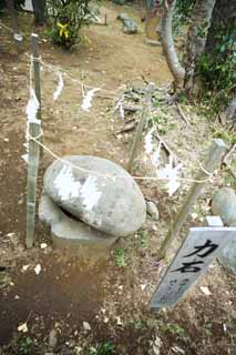 Foto, materieel, vrij, landschap, schilderstuk, bevoorraden foto,Eshima Shrine Okutsu heiligdom, Voorkoming tegen kwaad, Geld aanbieding, Sterke persoon, Competitie in de macht