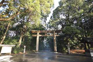 Ôîòî, ìàòåðèàëüíûé, ñâîáîäíûé, ïåéçàæ, ôîòîãðàôèÿ, ôîòî ôîíäà.,Meiji Shrine torii, Èìïåðàòîð, Shinto shrine, torii, Ïîäõîä ê shrine