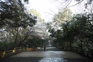 Ôîòî, ìàòåðèàëüíûé, ñâîáîäíûé, ïåéçàæ, ôîòîãðàôèÿ, ôîòî ôîíäà.,Meiji Shrine ïîäõîä ê shrine, Èìïåðàòîð, Shinto shrine, Ñíåã, Ïîäõîä ê shrine