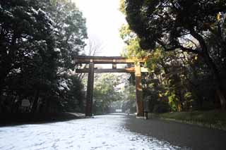 Ôîòî, ìàòåðèàëüíûé, ñâîáîäíûé, ïåéçàæ, ôîòîãðàôèÿ, ôîòî ôîíäà.,Meiji Shrine torii, Èìïåðàòîð, Shinto shrine, torii, Ïîäõîä ê shrine