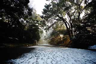 Ôîòî, ìàòåðèàëüíûé, ñâîáîäíûé, ïåéçàæ, ôîòîãðàôèÿ, ôîòî ôîíäà.,Meiji Shrine ïîäõîä ê shrine, Èìïåðàòîð, Shinto shrine, Ñíåã, Ïîäõîä ê shrine