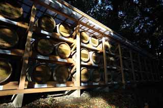 Foto, materiell, befreit, Landschaft, Bild, hat Foto auf Lager,Meiji Shrine Weihungswein, Der Kaiser, Schintoistischer Schrein, Wein, 