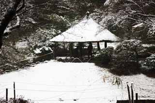 Ôîòî, ìàòåðèàëüíûé, ñâîáîäíûé, ïåéçàæ, ôîòîãðàôèÿ, ôîòî ôîíäà.,Meiji Shrine Imperial ñàä, Shinto shrine, arbor, Èìïåðàòîð, Ïðèðîäà