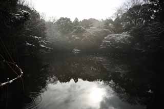 Ôîòî, ìàòåðèàëüíûé, ñâîáîäíûé, ïåéçàæ, ôîòîãðàôèÿ, ôîòî ôîíäà.,Meiji Shrine Imperial ñàä, Shinto shrine, Ïðóä, Èìïåðàòîð, Ïðèðîäà