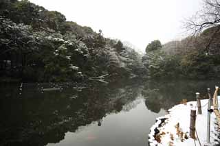 Ôîòî, ìàòåðèàëüíûé, ñâîáîäíûé, ïåéçàæ, ôîòîãðàôèÿ, ôîòî ôîíäà.,Meiji Shrine Imperial ñàä, Shinto shrine, Ïðóä, Èìïåðàòîð, Ïðèðîäà