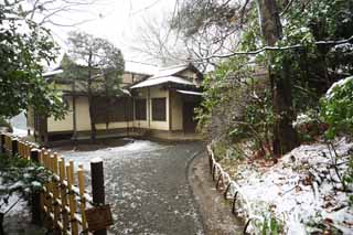 Ôîòî, ìàòåðèàëüíûé, ñâîáîäíûé, ïåéçàæ, ôîòîãðàôèÿ, ôîòî ôîíäà.,Meiji Shrine, Shinto shrine, ×àé-öåðåìîíèÿ ïîìåùåíèå, Èìïåðàòîð, ×àéíàÿ öåðåìîíèÿ