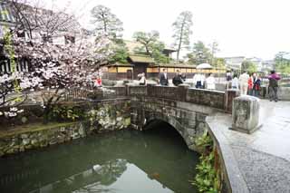 Foto, materiell, befreit, Landschaft, Bild, hat Foto auf Lager,Kurashiki Imahashi, Traditionelle Kultur, steinigen Sie Brücke, Kirschenbaum, Die Geschichte