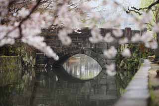 Foto, materiell, befreit, Landschaft, Bild, hat Foto auf Lager,Kurashiki Imahashi, Traditionelle Kultur, steinigen Sie Brücke, Kirschenbaum, Die Geschichte