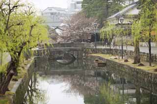 Foto, materiell, befreit, Landschaft, Bild, hat Foto auf Lager,Kurashiki Imahashi, Traditionelle Kultur, steinigen Sie Brücke, Weide, Die Geschichte