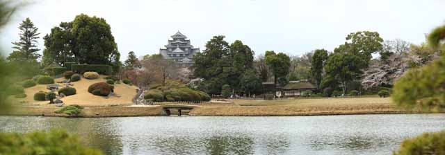 Foto, materiell, befreit, Landschaft, Bild, hat Foto auf Lager,Der Teich des Koraku-en Garden-Sumpfes, Okayama-jo Burg, Burg, Kirschenbaum, Japanisch gärtnert