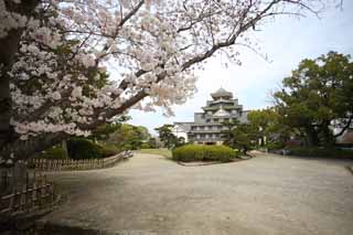 foto,tela,gratis,paisaje,fotografía,idea,Castillo de Okayama - jo, Castillo, La torre de castillo, Castillo de Crow, 