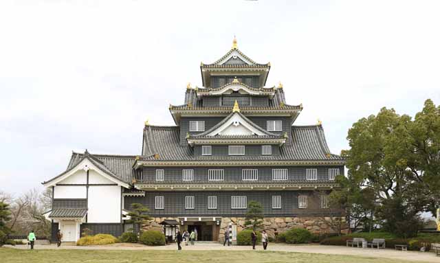 foto,tela,gratis,paisaje,fotografía,idea,Castillo de Okayama - jo, Castillo, La torre de castillo, Castillo de Crow, 