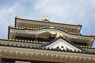 foto,tela,gratis,paisaje,fotografía,idea,Castillo de Okayama - jo, Castillo, La torre de castillo, Castillo de Crow, 