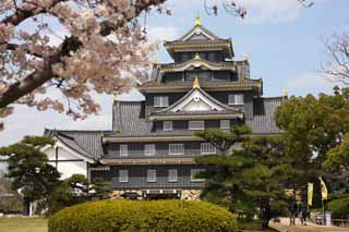 foto,tela,gratis,paisaje,fotografía,idea,Castillo de Okayama - jo, Castillo, La torre de castillo, Castillo de Crow, 