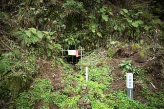 fotografia, material, livra, ajardine, imagine, proveja fotografia,Um veneno de rato arsênico de Iwami-prata-meu reserva bem o estudante de fundo, A galeria, veia, Um depósito eterno, Somo