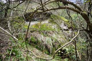 fotografia, materiale, libero il panorama, dipinga, fotografia di scorta,Un veleno di ratto di arsenicale da traccia di villaggio di Iwami-argento-miniera, Gradini, Resti, La galleria, Somo