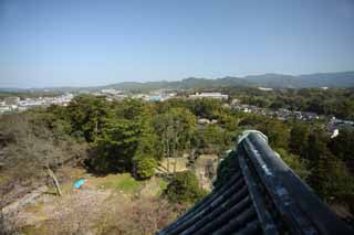 foto,tela,gratis,paisaje,fotografía,idea,La ciudad de Matsue, Azulejo de techo, Edificio, Pino, Cielo azul