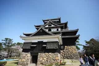 foto,tela,gratis,paisaje,fotografía,idea,La torre de castillo de castillo de Matsue - jo, Pino, Cimentación con pilotes - piedras, Castillo, Ishigaki