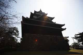 foto,tela,gratis,paisaje,fotografía,idea,La torre de castillo de castillo de Matsue - jo, Pino, Cimentación con pilotes - piedras, Castillo, Ishigaki