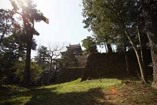 foto,tela,gratis,paisaje,fotografía,idea,La torre de castillo de castillo de Matsue - jo, Pino, Cimentación con pilotes - piedras, Castillo, Ishigaki