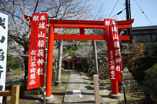 foto,tela,gratis,paisaje,fotografía,idea,Shiroyama Inari santuario, Torii, Santuario sintoísta, Linterna de piedra, Shinto