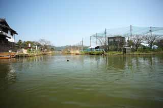 foto,tela,gratis,paisaje,fotografía,idea,Foso de castillo de Matsue - jo, Embarcación de turismo, Embarcación, Foso, Patos