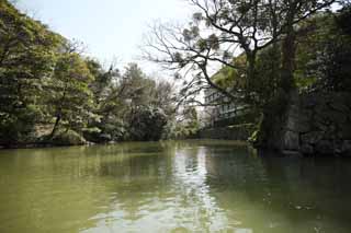 foto,tela,gratis,paisaje,fotografía,idea,Foso de castillo de Matsue - jo, Embarcación de turismo, Embarcación, Foso, Árbol