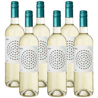 Een afbeelding van Mesta Verdejo organic wine doos