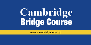 Bridge course