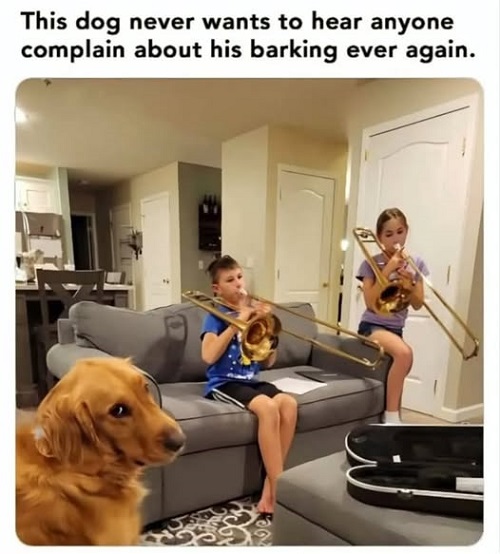 dog bark vs trombone.jpg