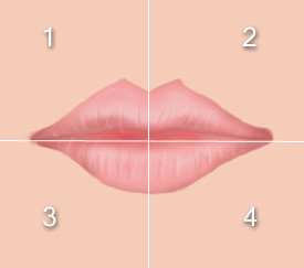 lipdiagram.jpg