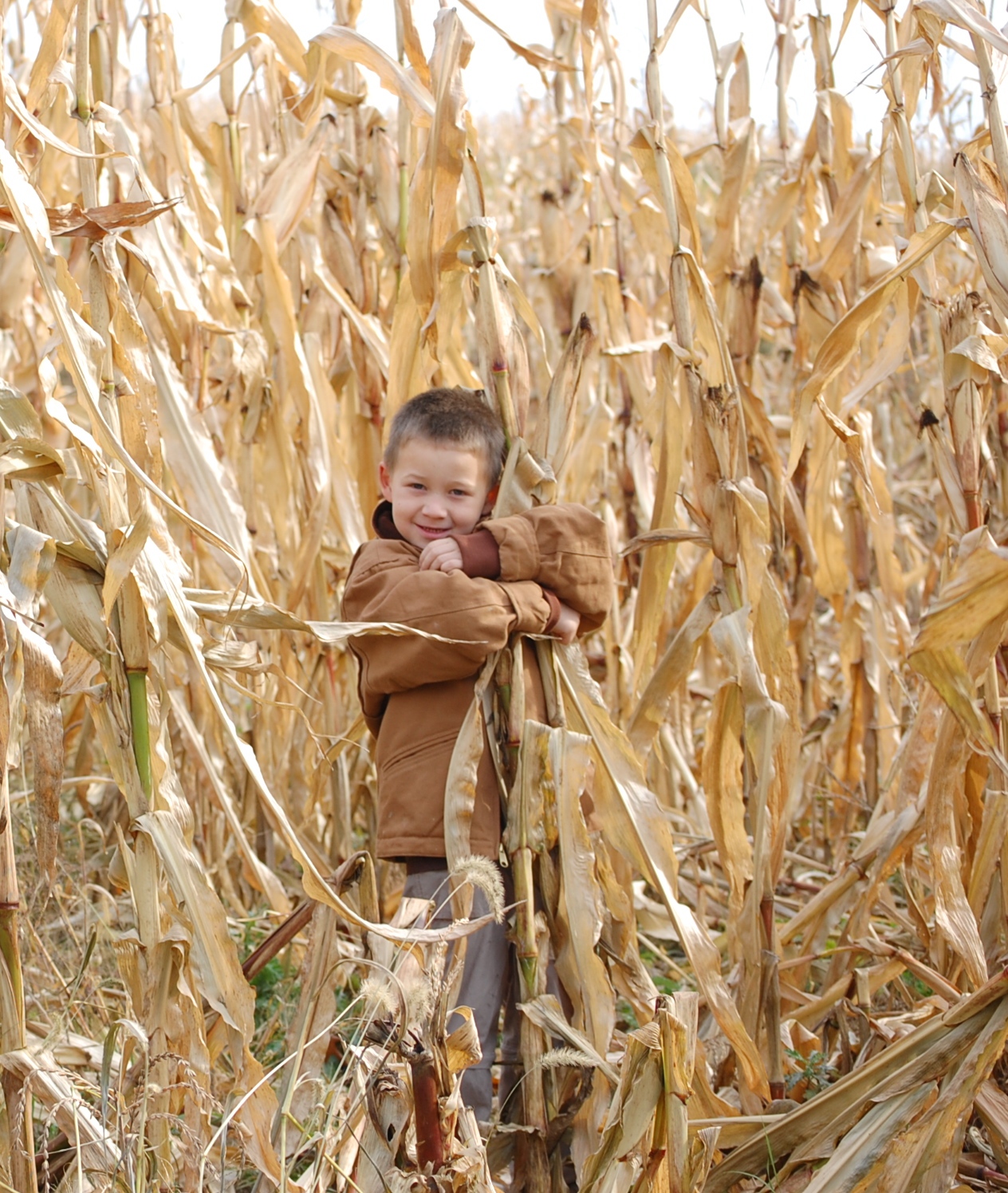 Cornboy.jpg