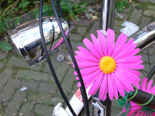 82207amdambikeflowers.jpg