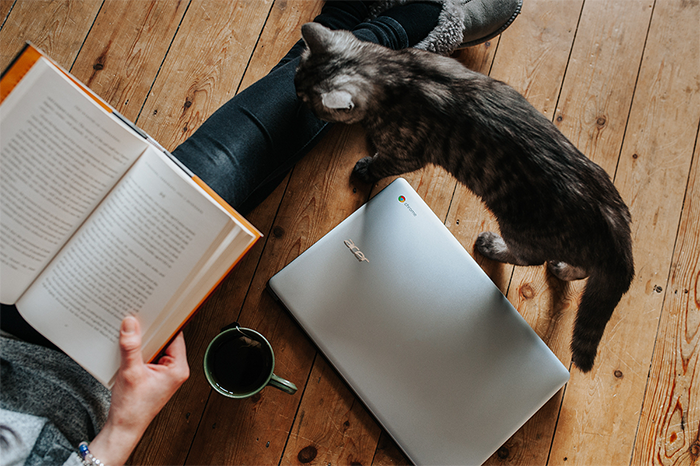 cat computer book