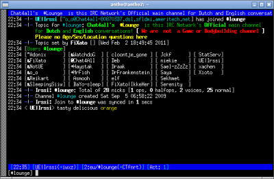 IRC Clients-irssi-0.8.15-DebianSqueeze.png