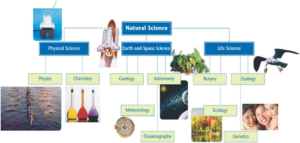 hierarchy/tree diagrams