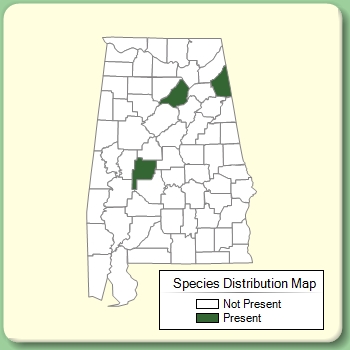 Species Distribution Map