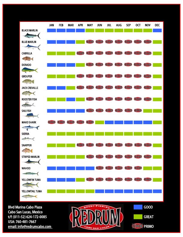 RedRumFishCalendar