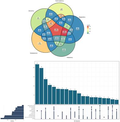 The ROSMAP project: aging and neurodegenerative diseases through omic sciences