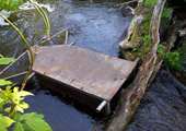 Sea Lamprey Trap in Small Tributary