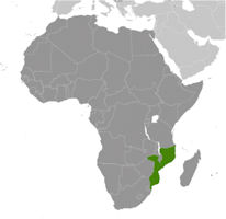 Mozambique Map - Location