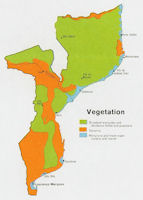 Mozambique Map - Vegetation 1973