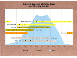 Bangladesh - Growing Season