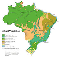 Brazil Map - Vegetation