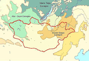 Mongolia Ecoregions Map