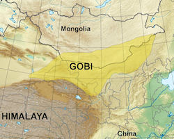 Gobi Desert