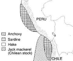 Peru Map - 